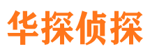 平鲁私家侦探公司